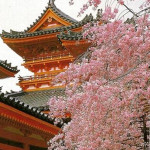 JAPONIA – ortodoxie si traditie nipona – 2009