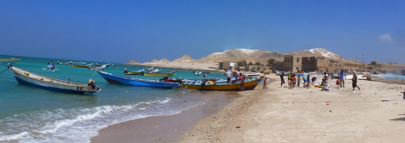 Socotra 11 (800x283)